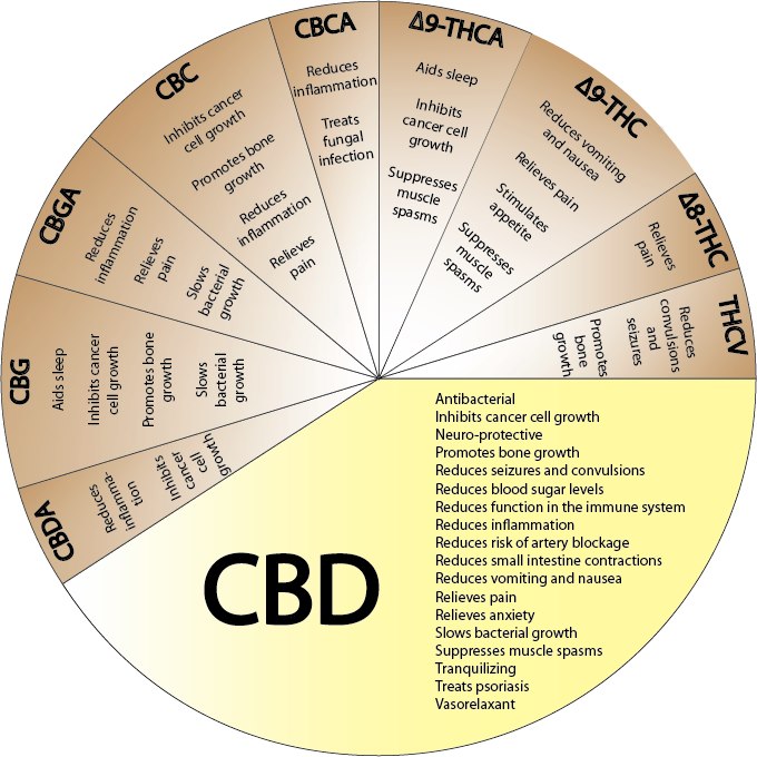 Cannabidiol (CBD) health properties